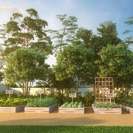 Community Garden | Concorde Abode 99